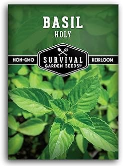 Holy Basil Seed for Planting - Indian Sacred Herb Tulsi Seeds to Grow in Your Home Vegetable Garden - Non-GMO Heirloom Variety - Survival Garden Seeds (1 Pack)