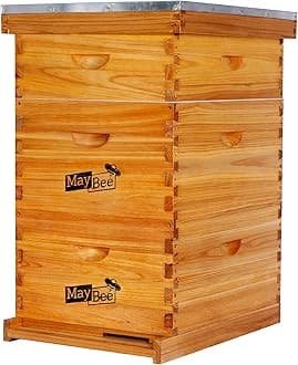 10Frame Beehive Include 2 Deep Boxes 1 Super Box with Beehive Frames &Foundation