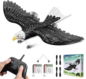RC Eagle, 2 CH RC Plane Ready to Fly, 2.4GHz Remote Control Airplane, Easy to Fly RC Glider for Kids & Beginners