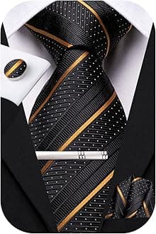 Hi-Tie Silk Ties for Men Pink Blue Black Mens Ties Set 4 PCS Necktie Pocket Square Cufflinks Clip Pin for Wedding