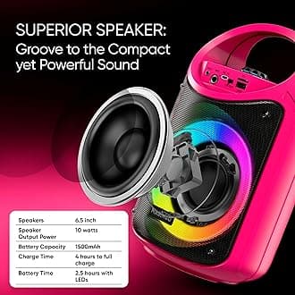 MASINGO Karaoke Machine for Kids and Adults with 1 Wireless Karaoke Microphone and 1 Wired Mic, PA Portable Speaker with LED Lights, Supports TF Card/USB, AUX/MIC in, TWS for Home Party, Burletta C10