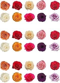 Top That 30 Mixed Color Rose Flower Wafer Paper Cake Toppers (30 Pieces)