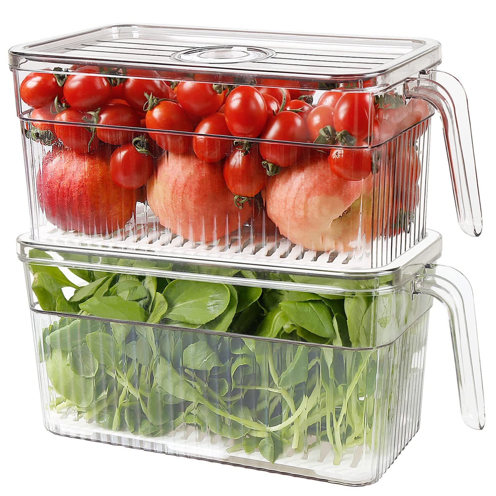 2 Pack Plastic Food Storage Produce Containers