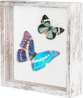 8x8 Shadow Box Picture Frame with Soft Linen Back - Metal Push Pins Included, Memory Box Display Case for Memorabilia Flower Awards Medals Wedding Photos, Rustic White