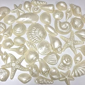 White Chocolate Pearlized Seashells for Cake Decorating, Chocolate Sea Shells - ORDER COOLER PACKING UNDER GIFT WRAP OPTION AT CHECKOUT