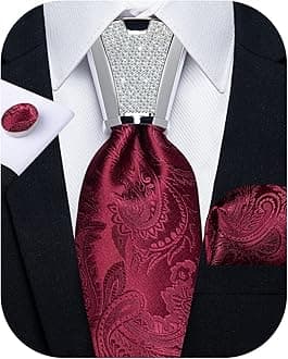 DiBanGu Paisley Tie and Pocket Square Classic Men's Woven Necktie, Handkerchief and Clip Sets