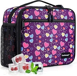 Freezable Lunch Bag,Cooler Lunch Box,Small Lunch Box with Detachable Gel Packs,lunch bag and cooler,Cooler Lunch Bag for School/Work/Travel,Small Insulated Bag,Freezable Lunch Box For Kids Adults