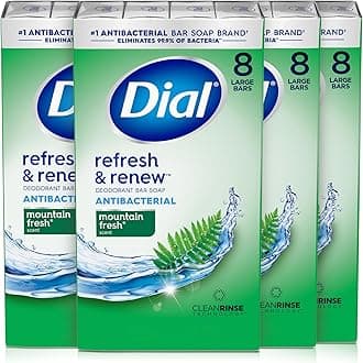 Dial Antibacterial Bar Soap, Refresh & Renew, Mountain Fresh, 4 oz, 32 Bars