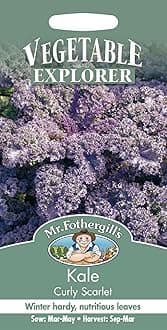 Kale Curly Scarlet