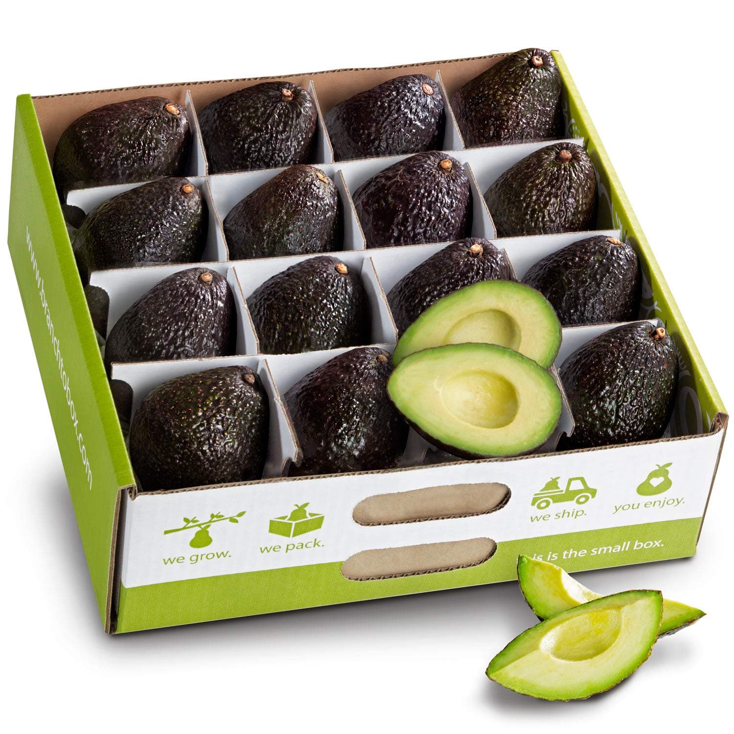 Branch to Box 16 Count Avocado Box