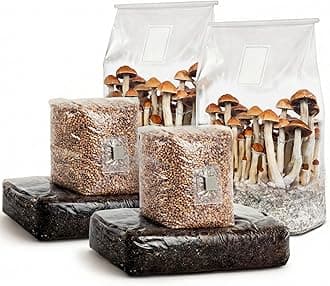 6 LB All-in-One Mushroom Grow Kit 2-Pack, Up to 128oz of Fresh Mushrooms Over 6 Flushes, Sterilized Grain Bags & Dung-Loving Substrate, Injection Port, OMRI-Listed, Made in USA, Just Add Spores