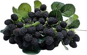 M2cbridge 4PCS Artificial Raspberry Red Berry Strawberry Faux Fruit BlackBerry Props Table Decoration (Black)