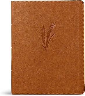 CSB Notetaking Bible, Large Print Edition, Camel LeatherTouch, Black Letter, Wide Margins, Journaling Space, Single-Column, Reading Plan, Easy-to-Read Bible Serif Type