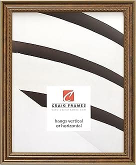 Craig Frames 314BR, Ornate Bronze Picture Frame, 20 x 26 Inch