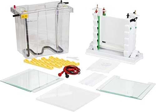 Labnet International E2120-C-.75-1-1 Labnet Enduro Comb 1 Prep for VE20 Vertical Gel Electrophoresis System, 1 Marker, 0.75 mm Thickness