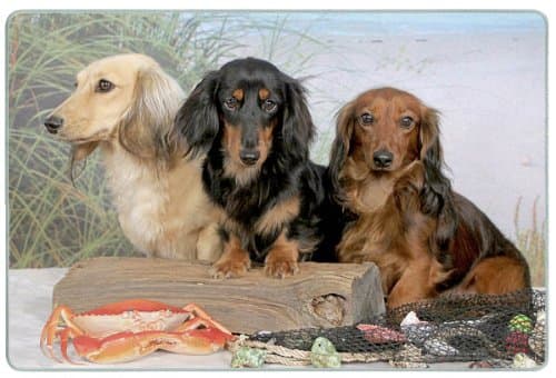 Dachshund Cutting Board - Small