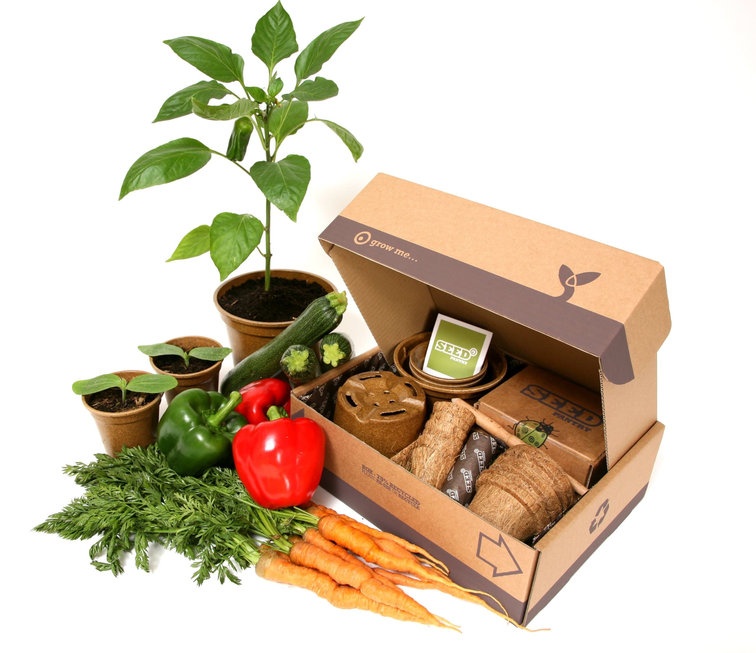 Seed Pantry Jumbo Summer Allotment Starter Pack